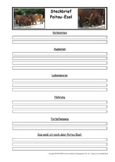 Steckbriefvorlage-Poitou-Esel.pdf